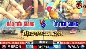 Trận 2 CPC6 27/10/2025 - Điều Bông Vô Trong Que Táng Mấy Cây Đứng Hình