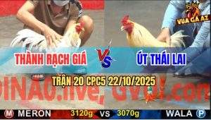 Trận 20 CPC5 22/10/2025 - Anh Thành Rạch Giá Và Anh Út Thái Lai
