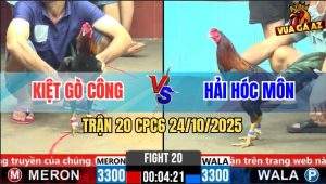 Trận 20 CPC6 24/10/2025 - Que Cọp Anh Kiệt Đá Ngay Đầu Cần Điều Té