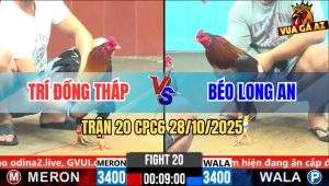Trận 20 CPC6 28/10/2025 - Điều Mặt Râu Chụp Đá Chân Kết Liễu Đối Thủ
