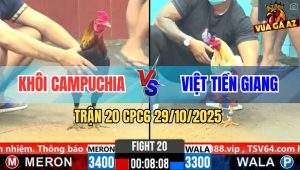 Trận 20 CPC6 29/10/2025 - Điều Chân Xanh Hít Vô Mấy Cước Bướm Ói Tiền