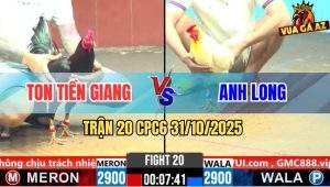 Trận 20 CPC6 31/10/2025 - Úa Anh Trường Đá Ngay Ông Địa Que Giãy Chết