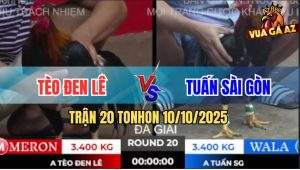 Trận 20 TonHon 10/10/2025 - Anh Tèo Đen Lê Gặp Anh Tuấn Sài Gòn