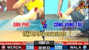 Trận 21 CPC6 24/10/2025 - Bướm Đá 10 Chân Không Bằng 1 Chân Gà Úa
