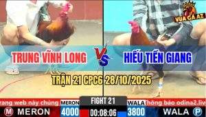 Trận 21 CPC6 28/10/2025 - Điều Dâu Đâm Điều Lá Đầu Chấm Muối Tiêu