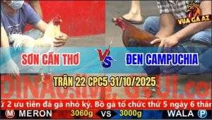 Trận 22 CPC5 31/10/2025 - Anh Sơn Cần Thơ Và Anh Đen Campuchia