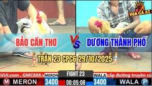 Trận 23 CPC6 29/10/2025 - Bướm Đá Chân Không Lên Được 1 Tất Mà Dí Ăn 6