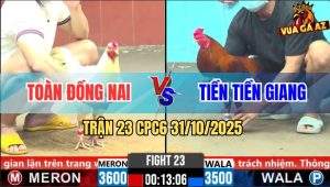 Trận 23 CPC6 31/10/2025 - Gà Điều Tránh Né Đá Mấy Chân Lúa Về Nhanh Lẹ