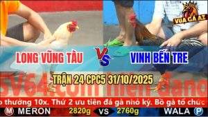 Trận 24 CPC5 31/10/2025 - Anh Long Vũng Tàu Và Anh Vinh Bến Tre