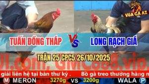 Trận 25 CPC5 26/10/2025 - Anh Tuấn Đồng Tháp Và Anh Long Rạch Giá