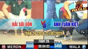 Trận 26 CPC6 12/10/2025 - Bướm Hiệu Anh Hải Đá 1 Tăng Điều Nằm Đống