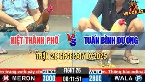 Trận 26 CPC6 30/10/2025 - Gà Que Anh Kiệt Đá Lớp Đầu Úa Bắt Về Gãy Giò