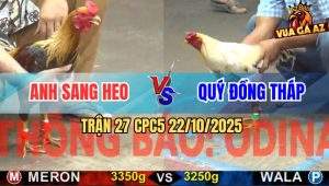 Trận 27 CPC5 22/10/2025 - Anh Sang Heo Và Anh Quý Đồng Tháp