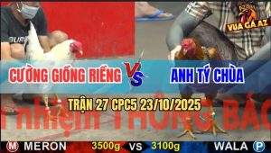 Trận 27 CPC5 23/10/2025 - Úa Trọc Đâm Gà Vàng Anh Tý Chùa Bể Hộp Số