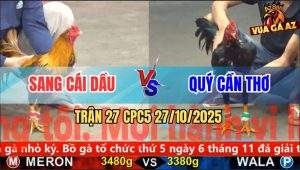 Trận 27 CPC5 27/10/2025 - Anh Sang Cái Dầu Và Anh Quý Cần Thơ