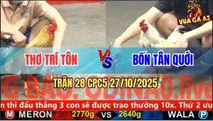Trận 28 CPC5 27/10/2025 - Anh Thơ Trí Tôn Và Anh Bốn Tân Quới