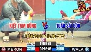 Trận 28 CPC6 13/10/2025 - Gà Điều Anh Tuấn Sài Gòn Đâm Như Chỉa