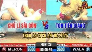 Trận 28 CPC6 29/10/2025 - Điều Đâm Toàn Mu Lưng Bướm Ói Kêu Miệng