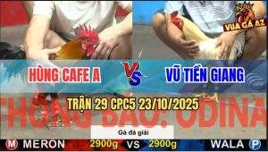 Trận 29 CPC5 23/10/2025 - Anh Hùng Cafe A Gặp Anh Vũ Tiền Giang