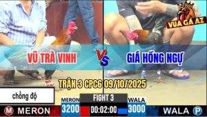 Trận 3 CPC6 9/10/2025 - Gà Xám Anh Giá Đá Như Máy Chém, Hạ Đỏ Chồng Độ
