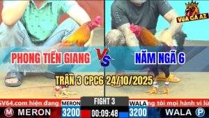Trận 3 CPC6 24/10/2025 - Gà Anh Phong May Mắn Chuyển Bại Thành Thắng