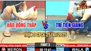 Trận 3 CPC6 25/10/2025 - Gà Vàng Chổi Chân Quá Ác Bướm Lọt Chết Tốt