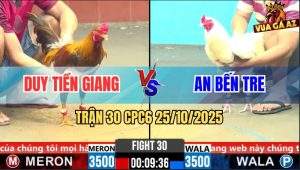 Trận 30 CPC6 25/10/2025 - Khét Cọp Anh Duy Chặn Đúng Chân Gà Úa Bay Bồ