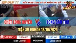 Trận 30 TonHon 18/10/2025 - Gà Khét Quá Trâu Điều Xanh Đâm Không Thấm