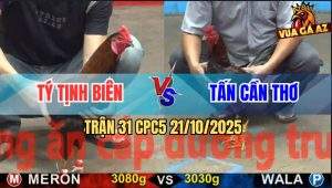 Trận 31 CPC5 21/10/2025 - Anh Tý Tịnh Biên Và Anh Tấn Cần Thơ