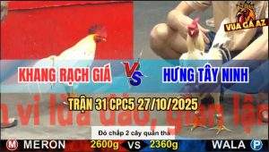 Trận 31 CPC5 27/10/2025 - Anh Khang Rạch Giá Và Anh Hưng Tây Ninh