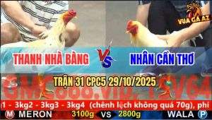Trận 31 CPC5 29/10/2025 - Anh Thanh Nhà Bàng Và Anh Nhân Cần Thơ
