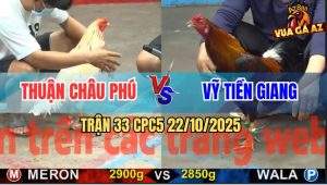 Trận 33 CPC5 22/10/2025 - Anh Thuận Châu Phú Và Anh Vỹ Tiền Giang