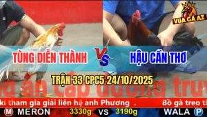 Trận 33 CPC5 24/10/2025 - Anh Tùng Diễn Thành Và Anh Hậu Cần Thơ