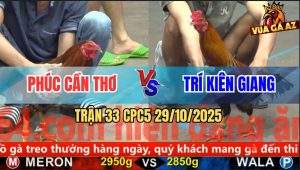 Trận 33 CPC5 29/10/2025 - Anh Phúc Cần Thơ Và Anh Trí Kiên Giang
