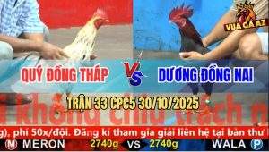 Trận 33 CPC5 30/10/2025 - Anh Quý Đồng Tháp Và Anh Dương Đồng Nai