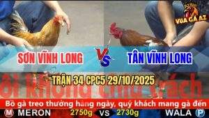 Trận 34 CPC5 29/10/2025 - Anh Sơn Vĩnh Long Và Anh Tân Vĩnh Long