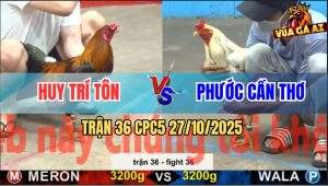 Trận 36 CPC5 27/10/2025 - Anh Huy Trí Tôn Và Anh Phước Cần Thơ