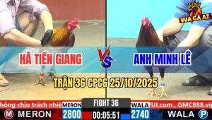 Trận 36 CPC6 26/10/2025 - Xanh Chân Xanh Đâm Úa Bể Bọng Chạy Kêu Miệng