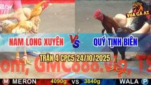 Trận 4 CPC5 24/10/2025 - Anh Nam Long Xuyên Và Anh Quý Tịnh Biên