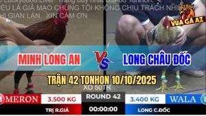 Trận 42 TonHon 10/10/2025 - Điều Cọp Má Minh Đá Gà Cú Bò Lê Bò Lết