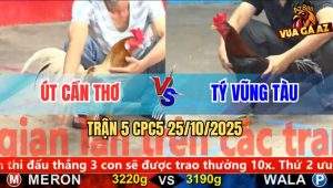 Trận 5 CPC5 25/10/2025 - Anh Út Cần Thơ Và Anh Tý Vũng Tàu