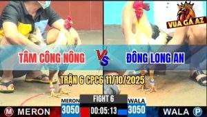 Trận 6 CPC6 11/10/2025 - Bướm Đâm Lọt Mấy Cây Lưng Khét Sữa Bung Chạy