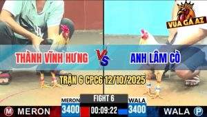 Trận 6 CPC6 12/10/2025 - Gà Chuối Anh Thành Qua Ẩu Bị Bướm Sút Lất Xe