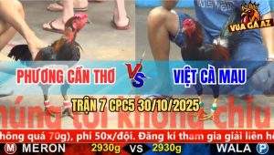 Trận 7 CPC5 30/10/2025 - Anh Phương Cần Thơ Và Anh Việt Cà Mau
