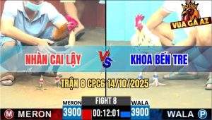 Trận 8 CPC6 14/10/2025 - Bướm Mặt Râu Anh Khoa Bến Tre Đá Đâu Trúng Đó