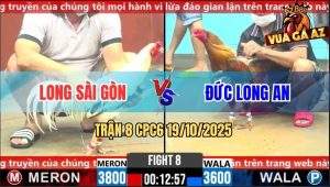 Trận 8 CPC6 19/10/2025 - Gà Bướm Anh Long Đâm Thủng Tim Gà Khét