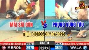 Trận 8 CPC6 30/10/2025 - Chuối Có Bông Đâm Xám Son Bay Bồ