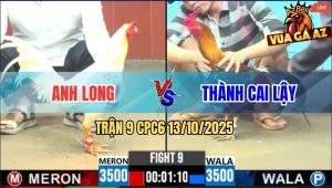Trận 9 CPC6 13/10/2025 - Bướm Anh Long Đá Tốc Độ Về Bờ Nốt Nhạc Đầu