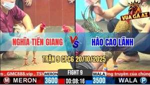 Trận 9 CPC6 20/10/2025 - Gà Bướm Xử Gà Cú Anh Hào Kêu Miệng Chạy