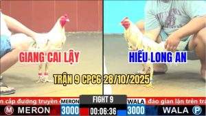 Trận 9 CPC6 28/10/2025 - Bướm Xanh Chụp Xiết Dàn Nạp Đầu Đỏ Chết Tốt